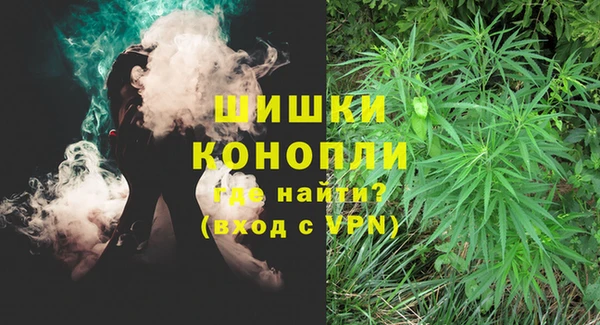 прущие грибы Армянск