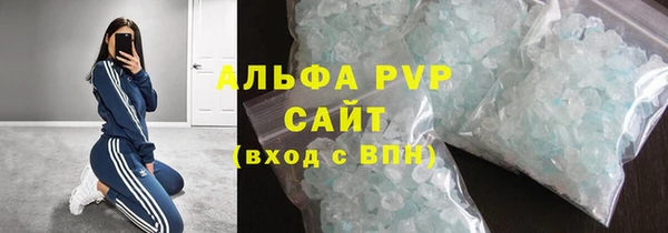 прущие грибы Аркадак
