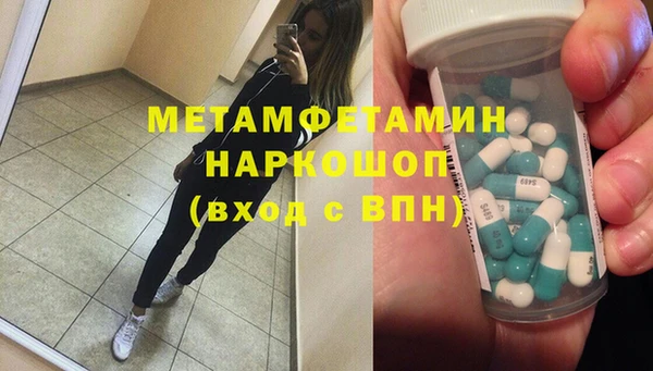 прущие грибы Аркадак