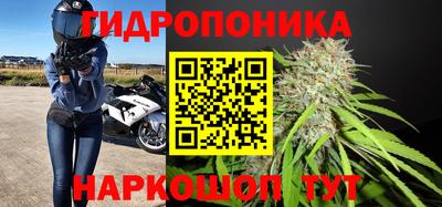 каннабис Бердск
