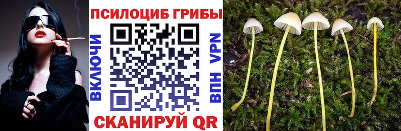 МЕГА ТОР  Аша  Галлюциногенные грибы прущие грибы 