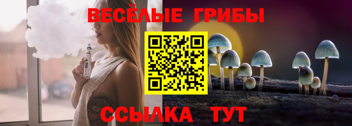 Аша  Галлюциногенные грибы прущие грибы  Вход с VPN  Псилоцибиновые грибы прущие грибы 