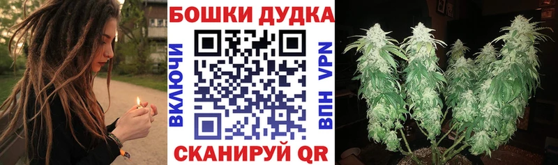 Бошки Шишки SATIVA & INDICA  купить наркотики цена  Аша 